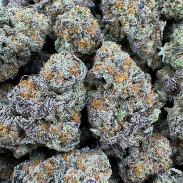 Purple Biscotti Macro 2