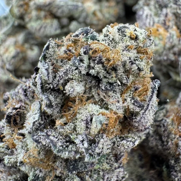 Purple Biscotti Macro