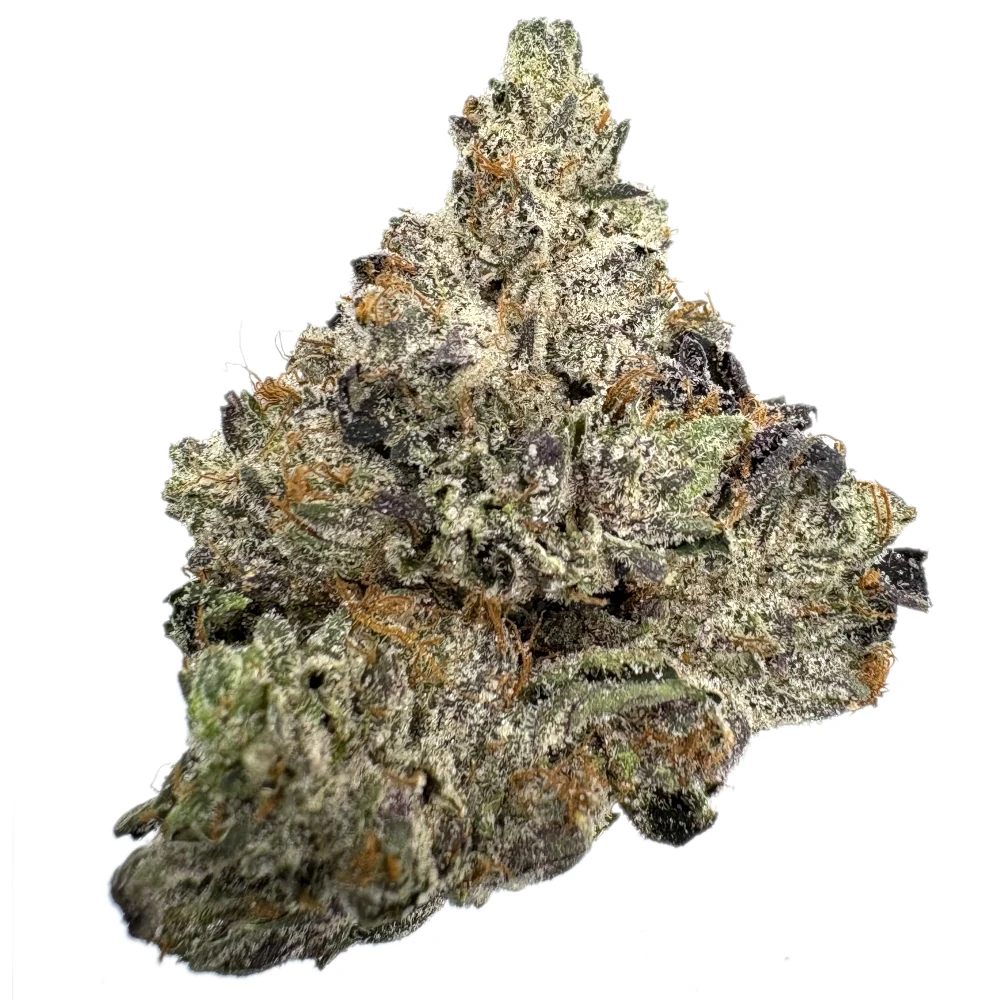 Afghani Goo Afghani Goo