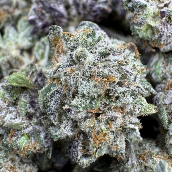 BC Blueberry Popcorn Macro