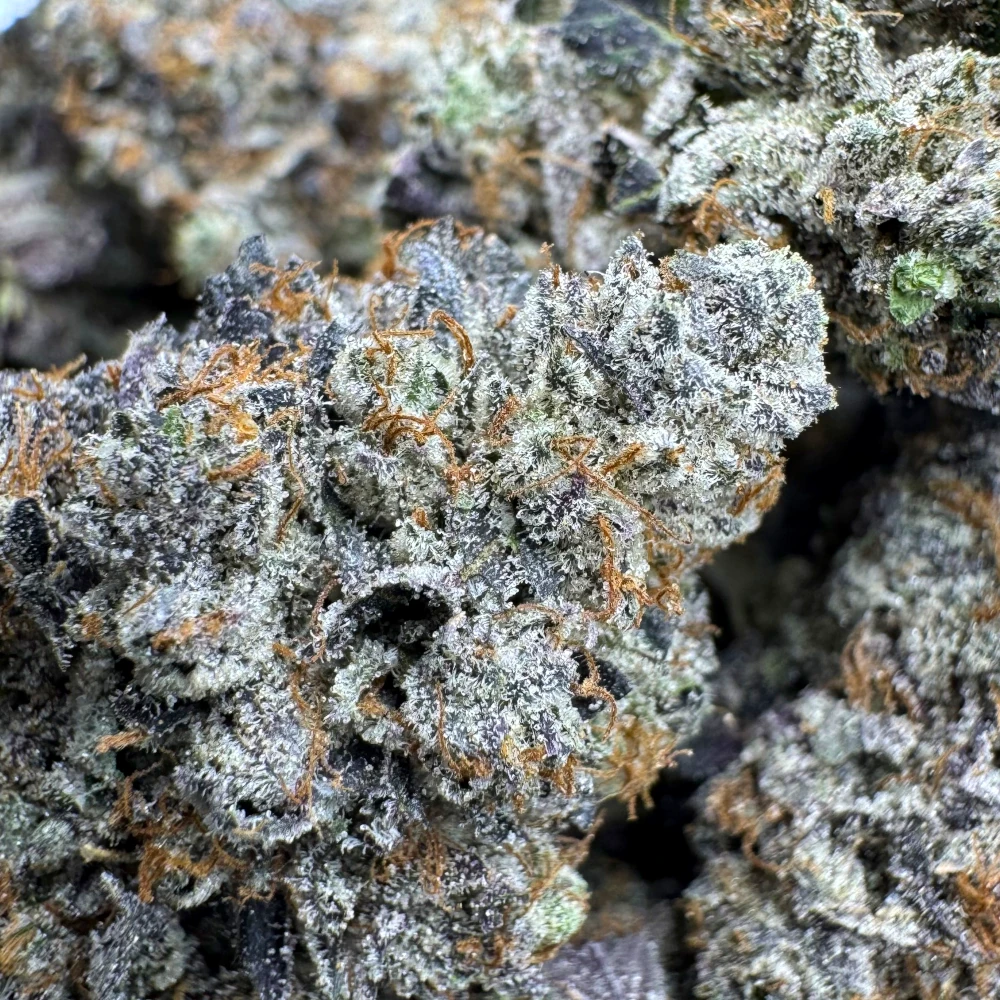 Death Bubba Macro Death Bubba Macro