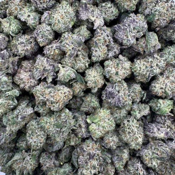 Donny Burger Popcorn Bulk Donny Burger Popcorn Bulk