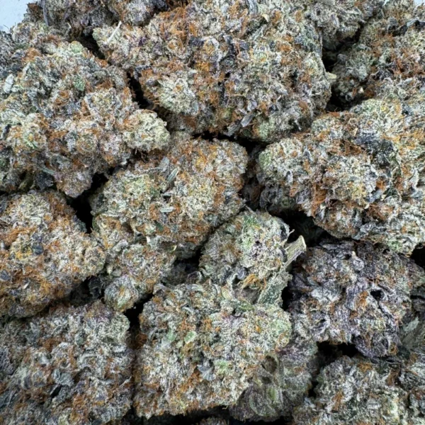 East Van Rockstar Bulk