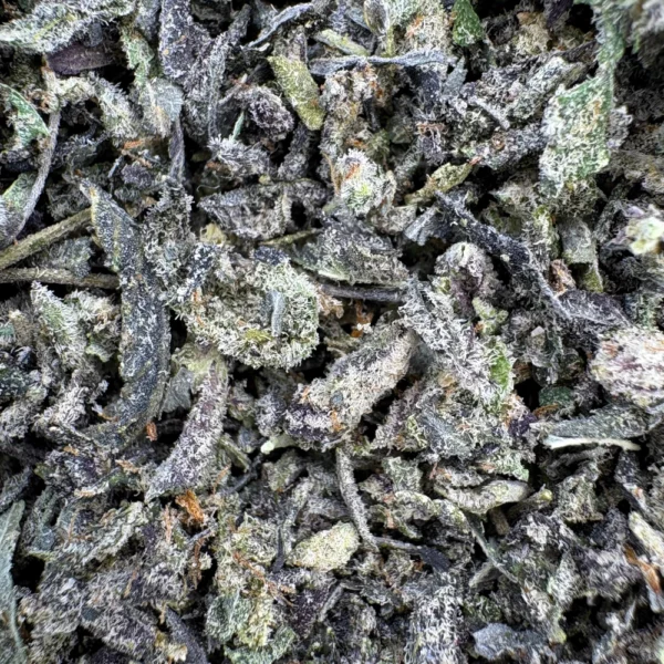 Gorilla Glue Shake Macro