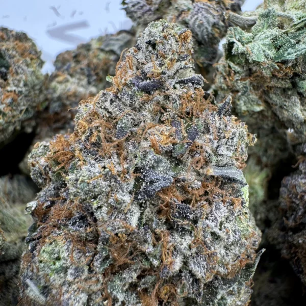 LSO Island Pink Kush Macro