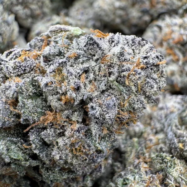 LSO LA Kush Cake Macro