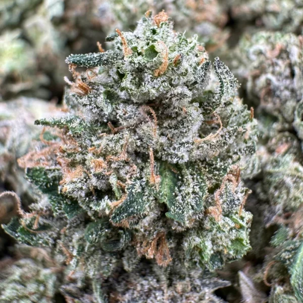 Pink Gas Mask Popcorn Macro