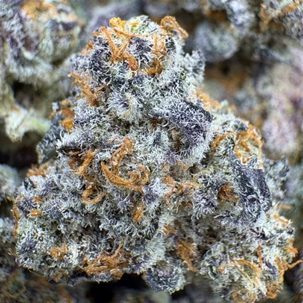 Triple Pastry Popcorn Macro Triple Pastry Popcorn Macro