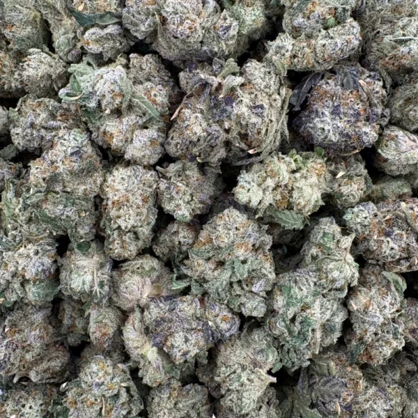 Alien OG Popcorn Bulk