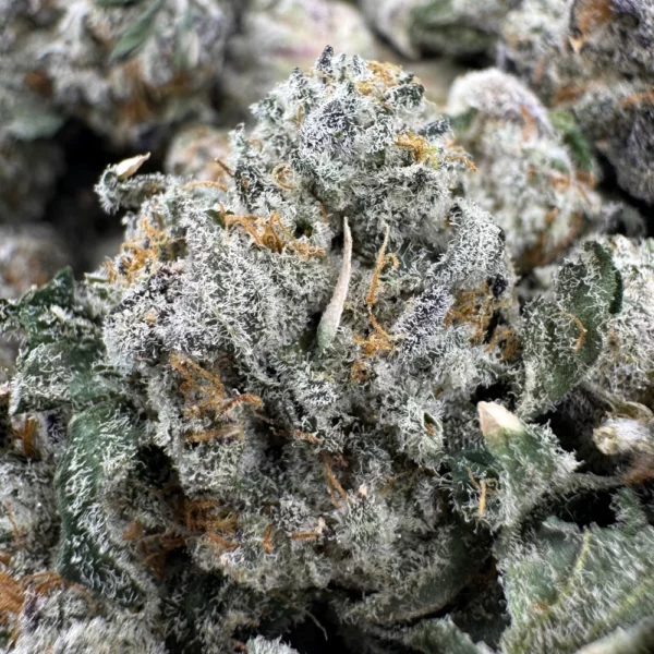 Alien OG Popcorn Macro