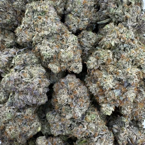 LSO Pink Kush Bulk