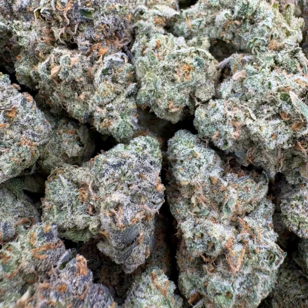 Sangria Funk Mediums