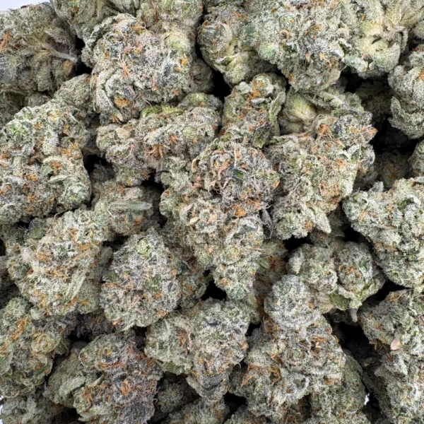 Sangria Funk Mediums Bulk