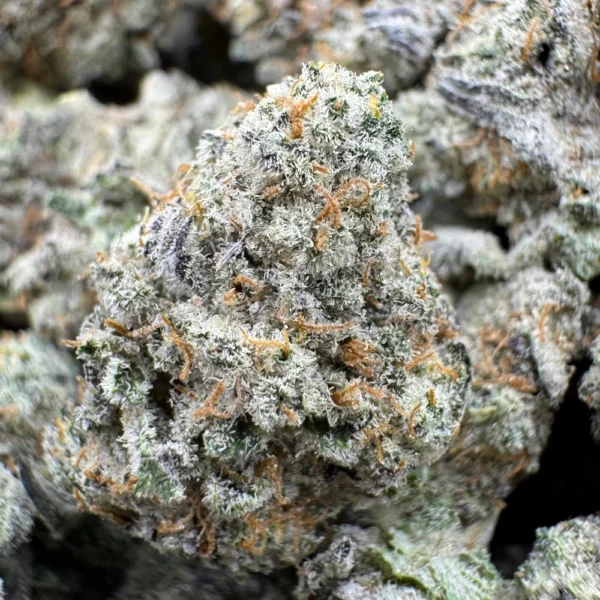 Sangria Funk Popcorn Macro