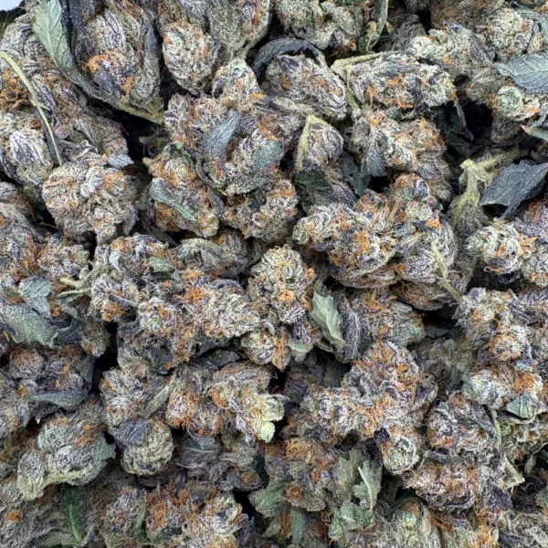 94 Octane Popcorn Bulk