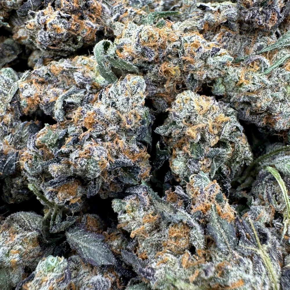 94 Octane Popcorn 94 Octane Popcorn
