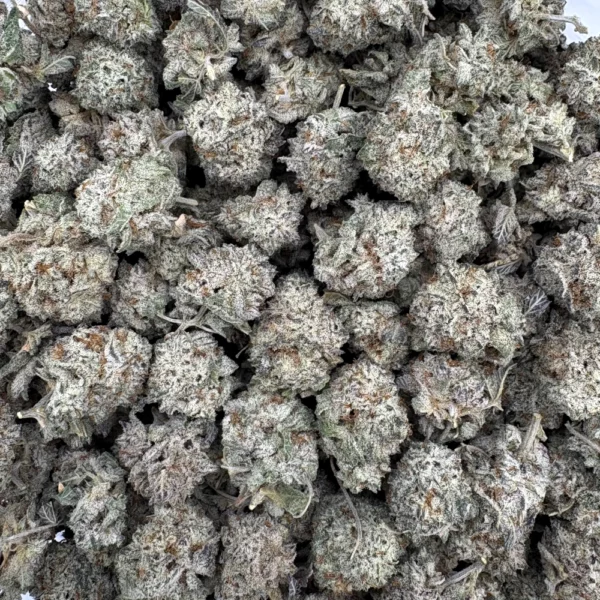 Cookies N Cream Popcorn Bulk