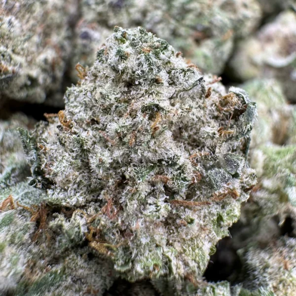 Donkey Butter Popcorn Macro