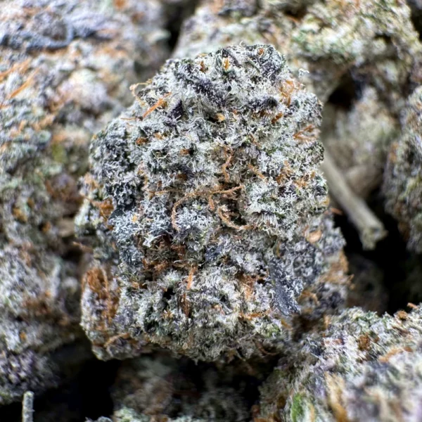 First Class Funk Macro