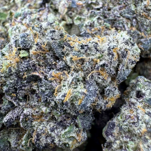 Hippie Haze 19 Macro