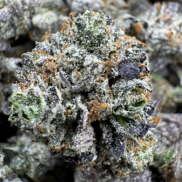 LSO Pink Kush Popcorn Macro