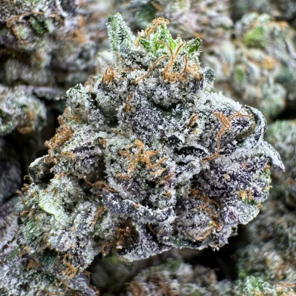 LSO Pink Kush Popcorn Macro