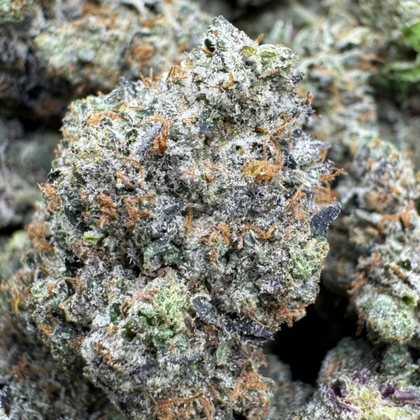 Lindsay OG Macro