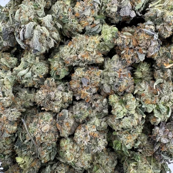 Pink Tuna Popcorn Bulk