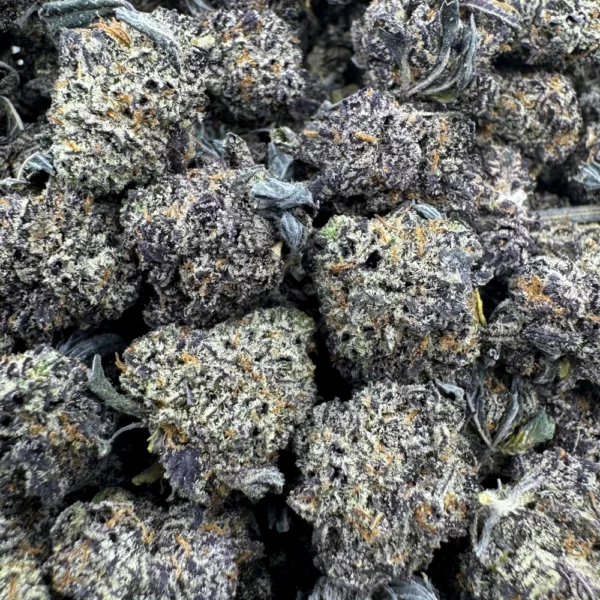 Purple Space Queen Popcorn