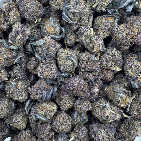 Purple Space Queen Popcorn Bulk
