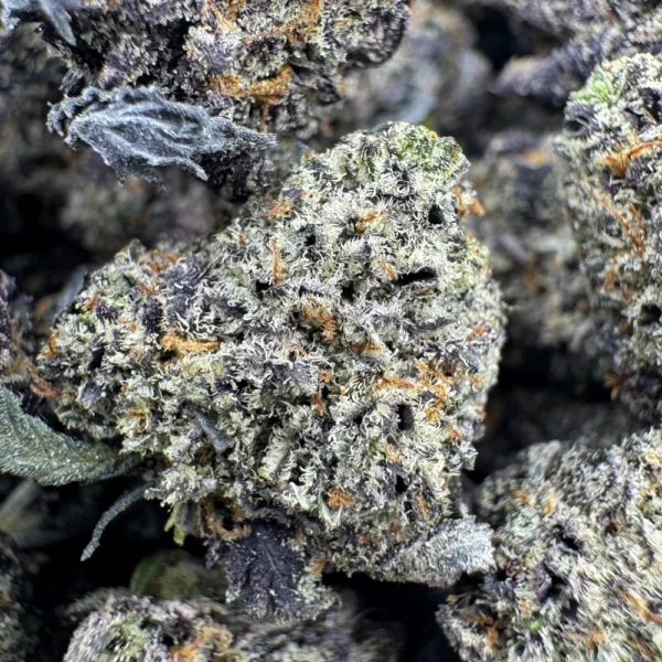 Purple Space Queen Popcorn Macro