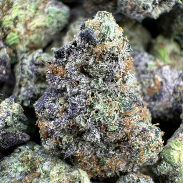 Blue Sunset Popcorn Macro