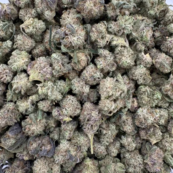 Chocolate Drop Popcorn Bulk