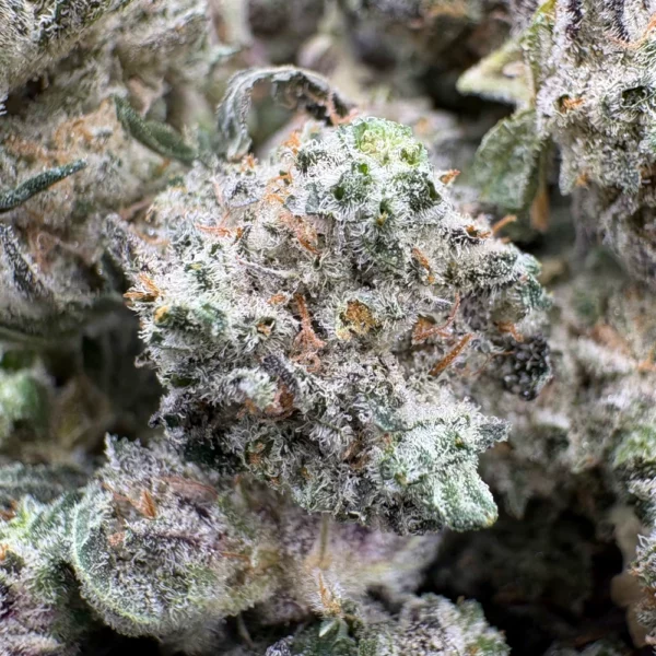 Chocolate Drop Popcorn Macro