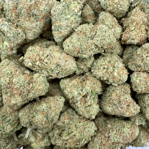 Girl Scout Cookies Bulk