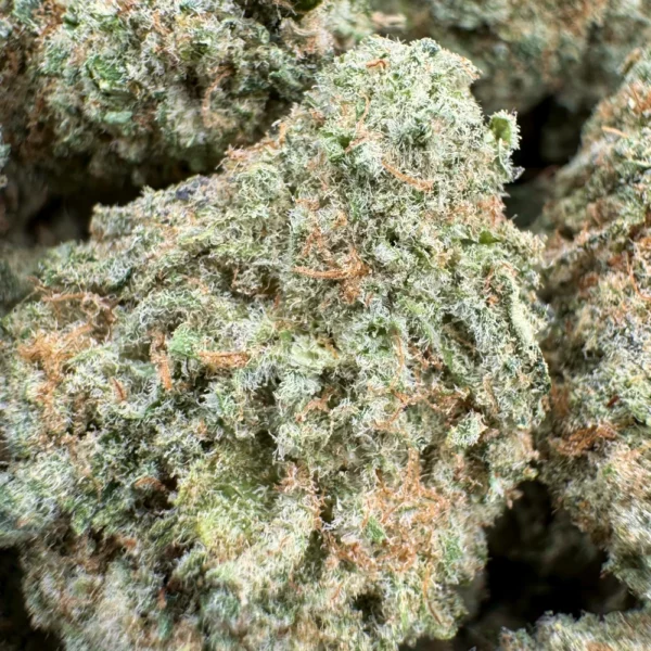 Girl Scout Cookies Macro