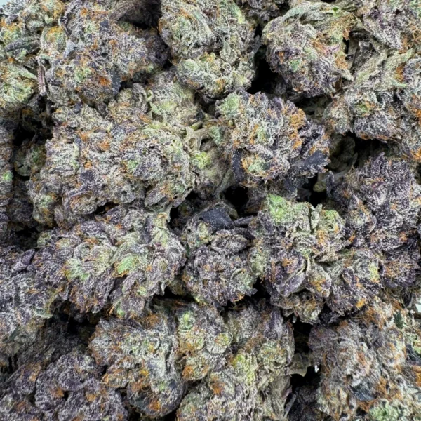 LSO East Van Rockstar Bulk
