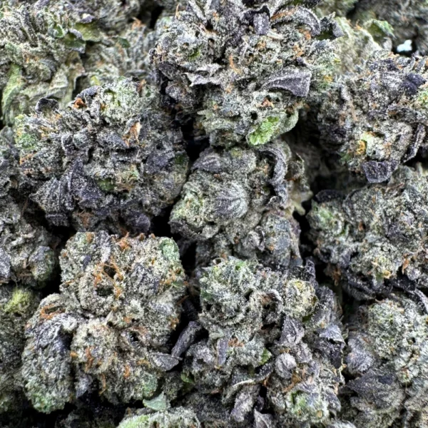 LSO East Van Rockstar Popcorn