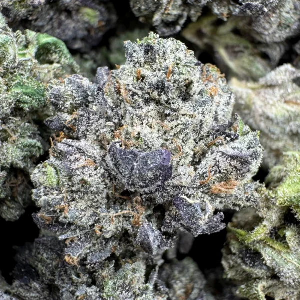 LSO East Van Rockstar Popcorn Macro