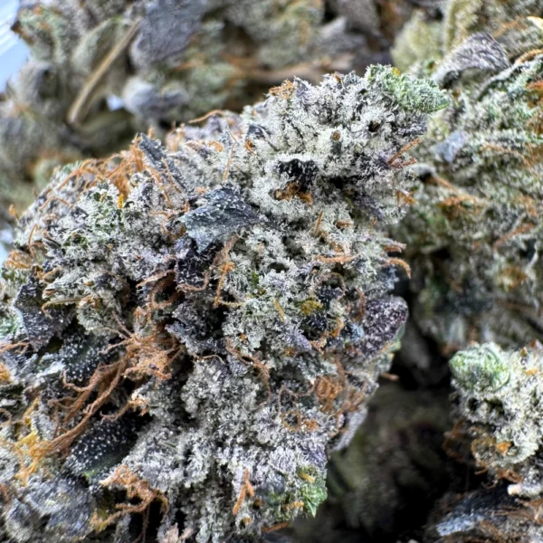 LSO Pink Death Bubba Macro