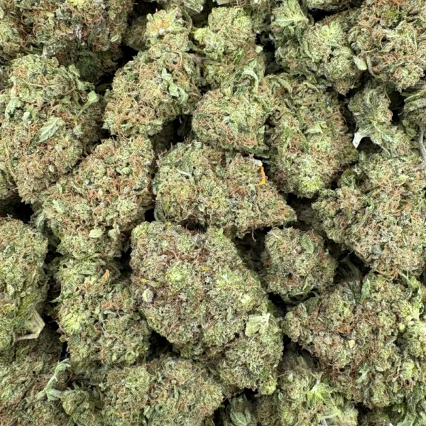 Sour Best Shit Ever Bulk