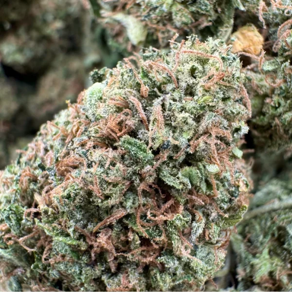 Sour Best Shit Ever Macro