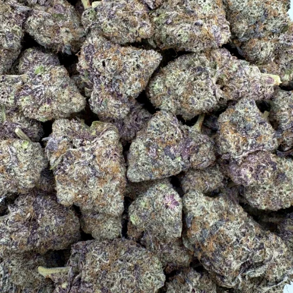 Tropicana Haze Bulk