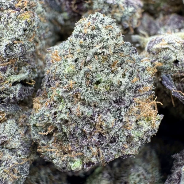 Tropicana Haze Macro Tropicana Haze Macro