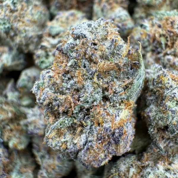 BC Blueberry Popcorn Macro