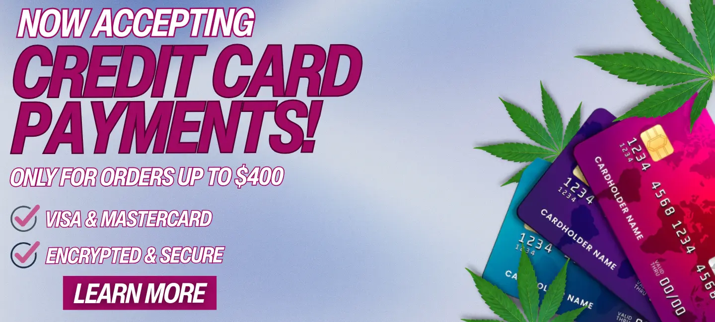 Credit Card Desktop 1