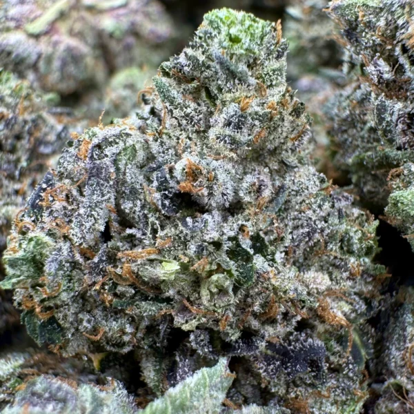 LSO Pre 98 Bubba Macro