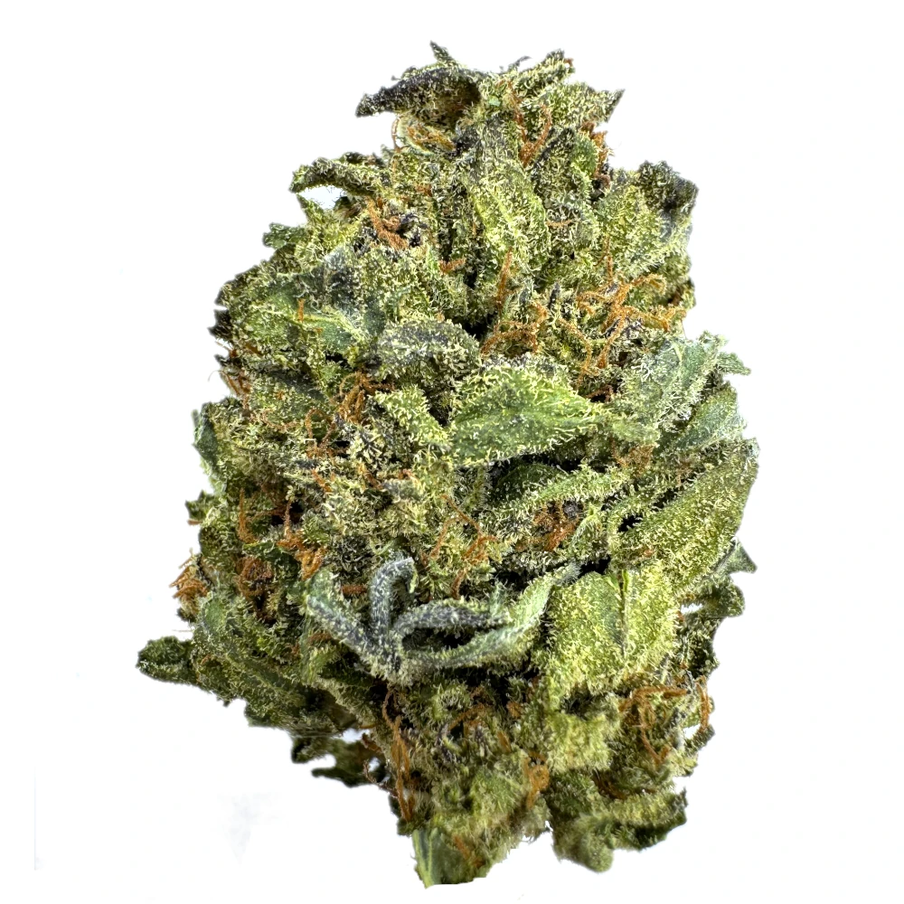 Lilac Diesel (AA+)