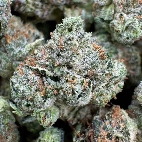 Pink Gas Mask Popcorn Macro