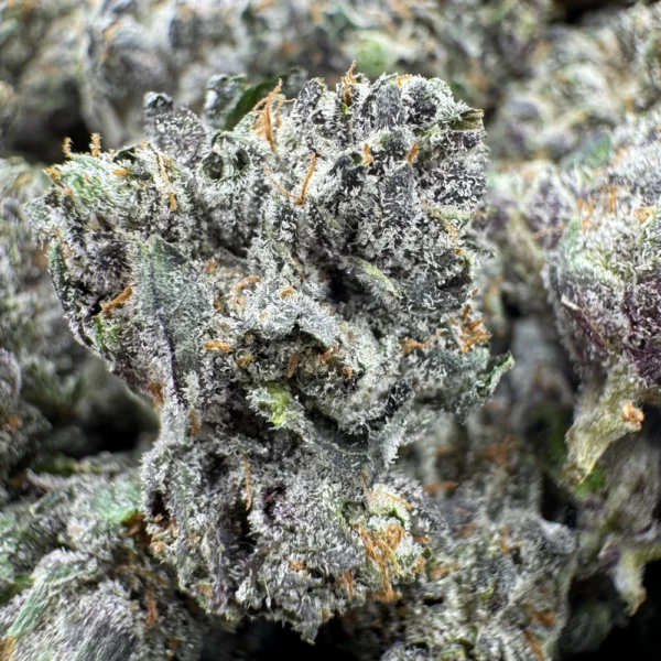 Pinkman Goo Popcorn Macro